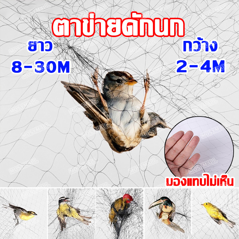 ตาข่ายดักนก จับนก อวนดักนก ดางดักนก อวนดักค้างคาว ไนลอน