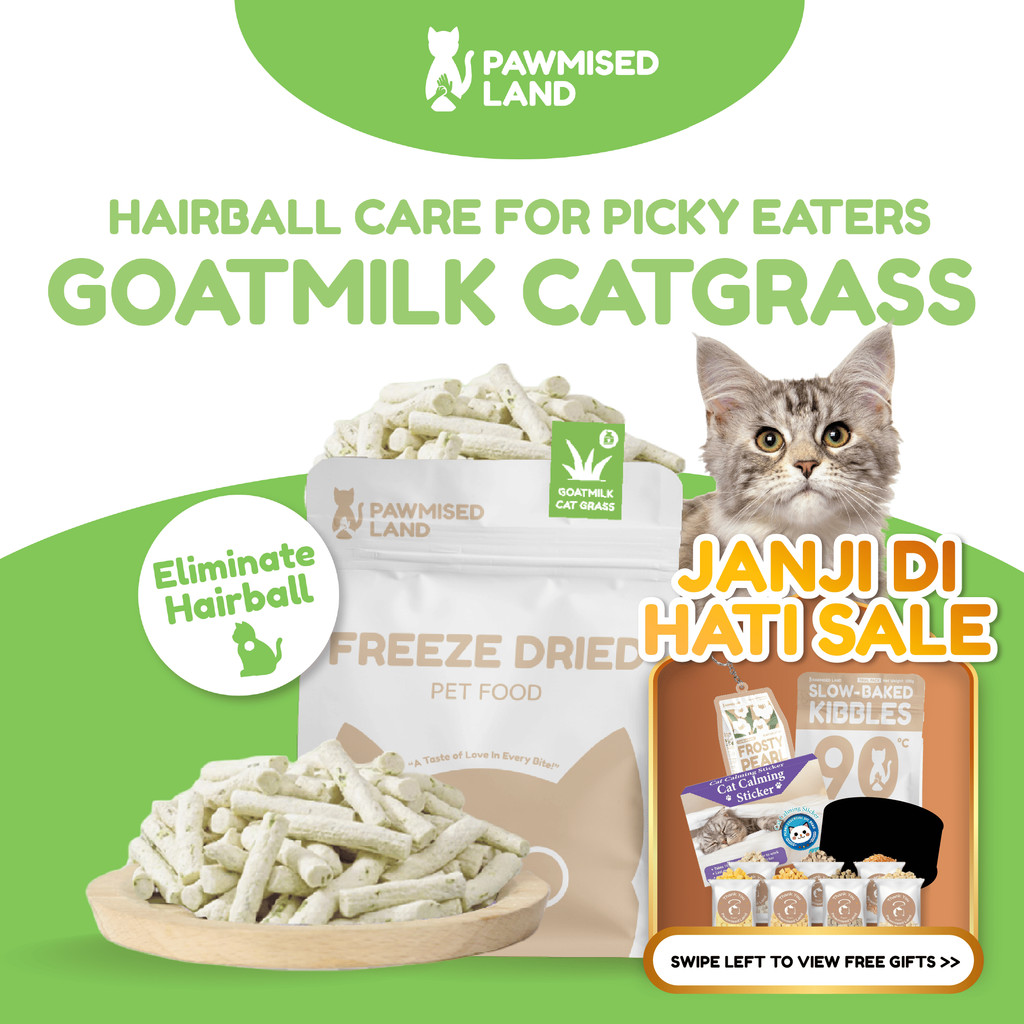 PawmisedLand Catty Munchies - Goatmilk Catgrass - ฟังก์ชั่นซีรีส์ - ฟรีซดราย 125g อาหารสัตว์เลี้ยง อ