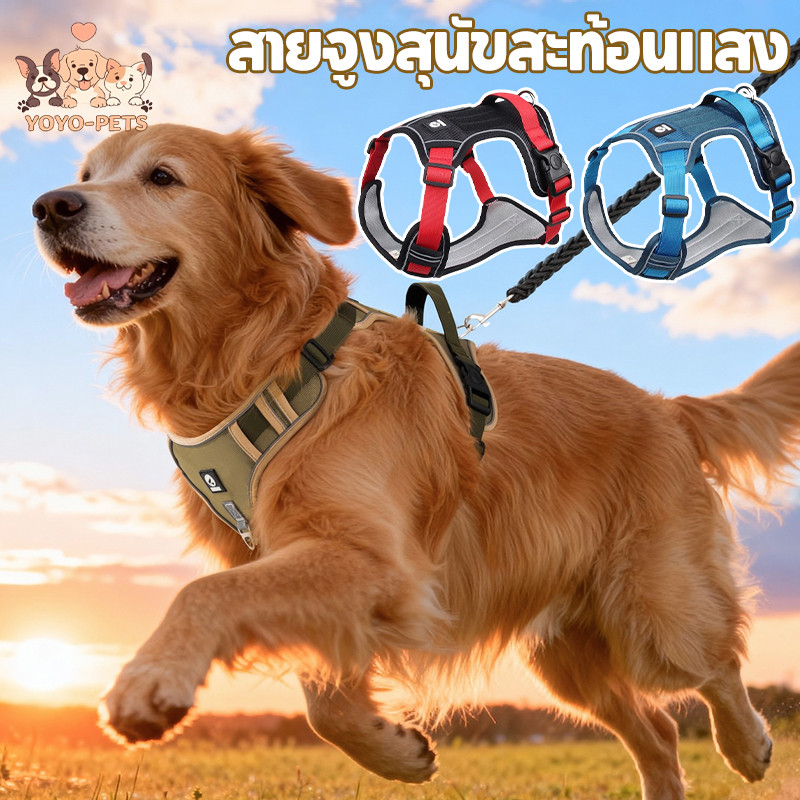 COD สายจูงสุนัขสะท้อนแสง สายจูงหมา สไตล์เสื้อกั๊ก วัสดุทนการแทะ  สุนัขขนาดใหญ่ยังสามารถใช้ได้