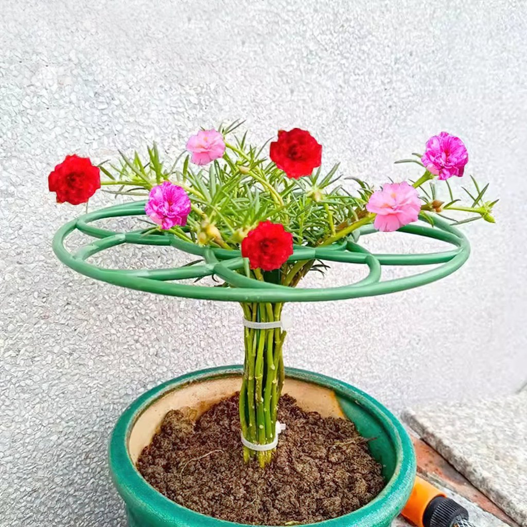 โครงขาตั้งดอกไม้สิบโมง, trellis MU888