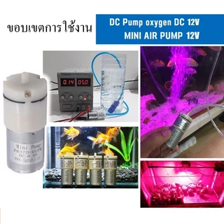 มอเตอร์ปั๊มลมไฟฟ้า DC 12 โวลต์ USB ปั๊มลม ออกซิเจนปั๊มลมปิดเสียง แบบพกพา พิพิธภัณฑ์สัตว์น้ำถังปลา