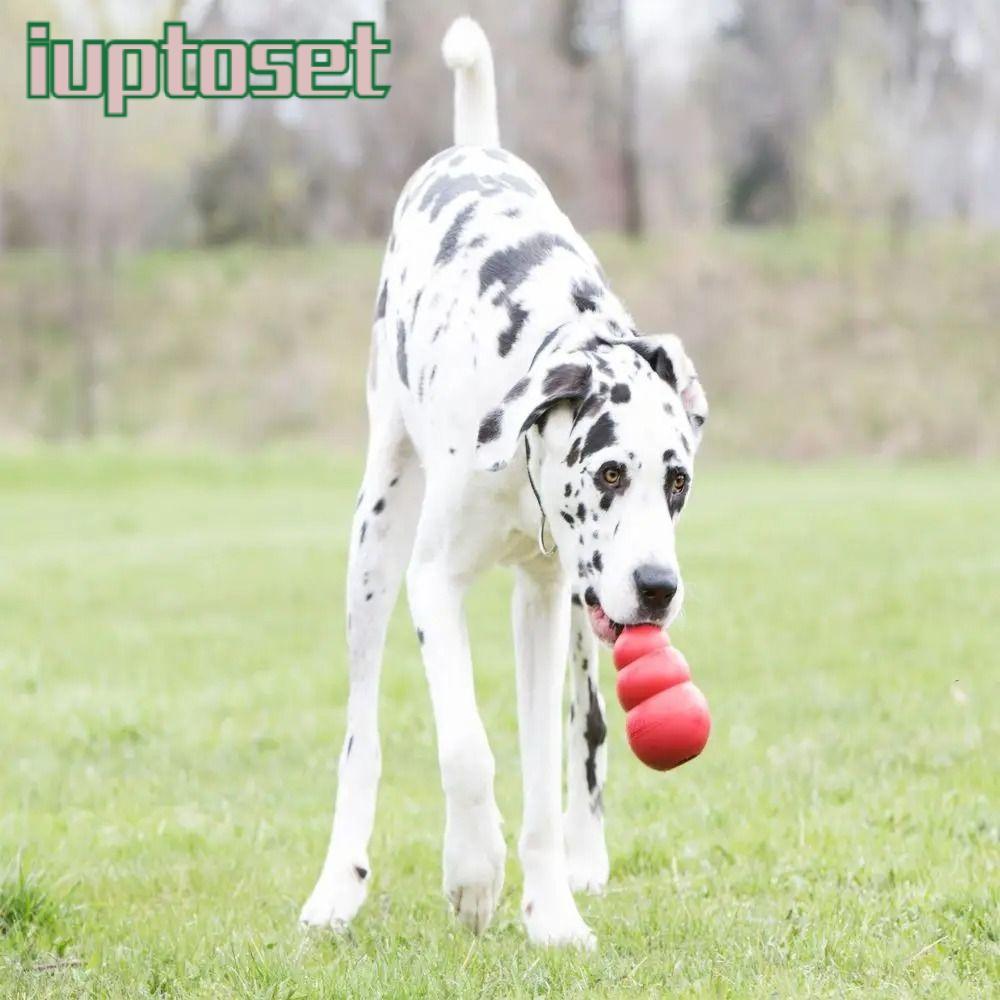 IUPTOSET Kong ของเล่นสุนัข, Erratic Bounce Kong ลูกสุนัขของเล่น, รักษา-เติมความสามารถยางทนทานเคี้ยวข