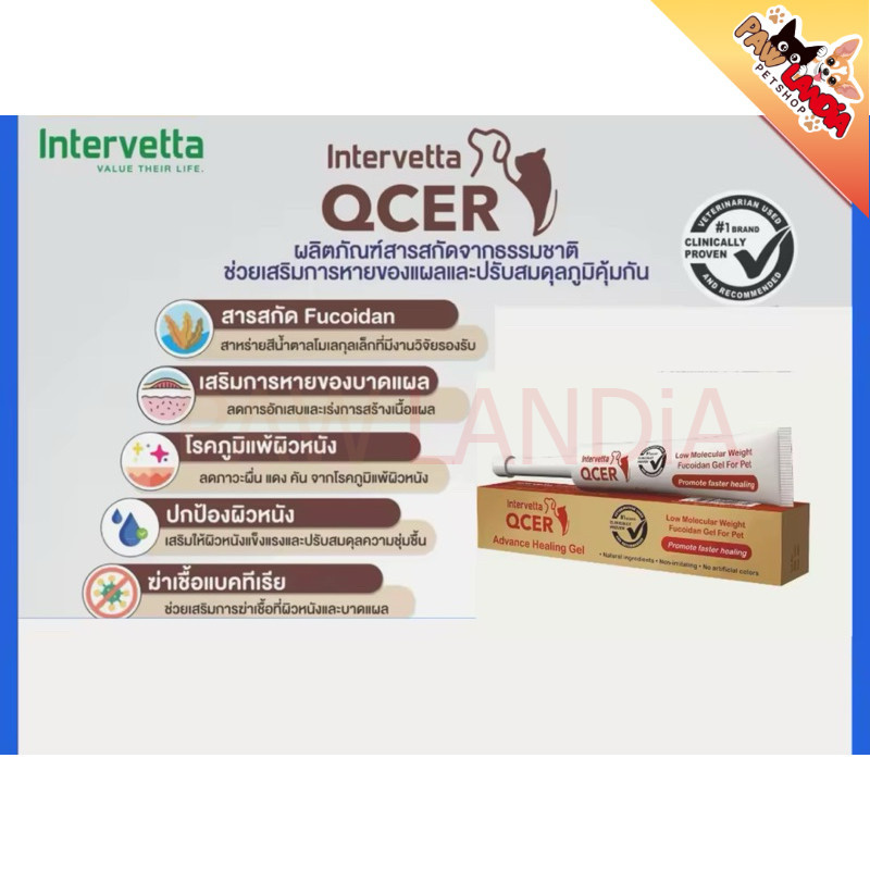 {15g} Intervetta QCER Advanced Healing Gel สำหรับช่วยให้แผลหายเร็ว ปรับสมดุลภูมิคุ้มกัน {Exp.08/26}