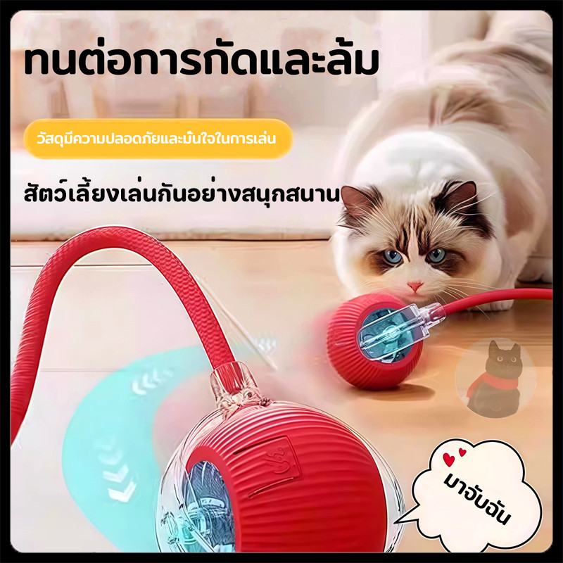 พร้อมส่ง🔥ลูกบอลแมว บอลแมวอัตโนมัติ ชาร์ตแบตได้ ของเล่นแมว สมาร์ทไฟฟ้า หมุนได้ ของเล่นแมวโต้ตอบ ของใช้แมว