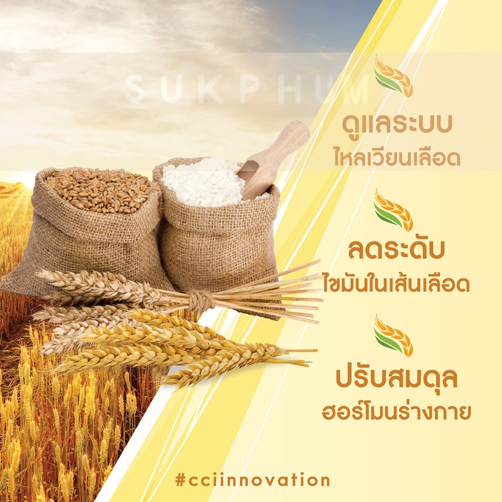 ราคาพิเศษ OLISA Q10 โอลิซา คิวเท็น - ราคาพิเศษ หลอดเลือด หัวใจ สารสกัดจากจมูกข้าวใน - รูปที่ 2