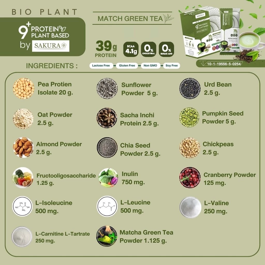 Bio Plant 9+ โปรตีนพืช ออร์แกนิค 9 ชนิด รสกาแฟคาราเมล โปรตีนสูง พกพาสะดวก คุมหิว หุ่นลีน thumbnail 8