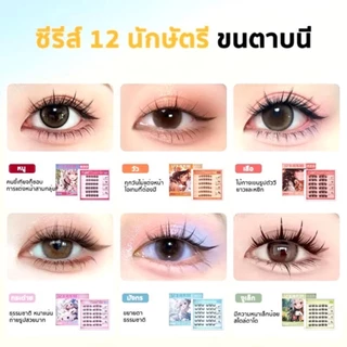 （1 แถม 1)ขนตาปลอม 3D ซีรีส์ 12 ราศี ไม่ต้องใช้กาว มีกาวในตัว ขยายตา ติดทน ใช้ซ้ำได้ 30/36 ช่อ/กล่องเหมาะสำหรับมือใหม่