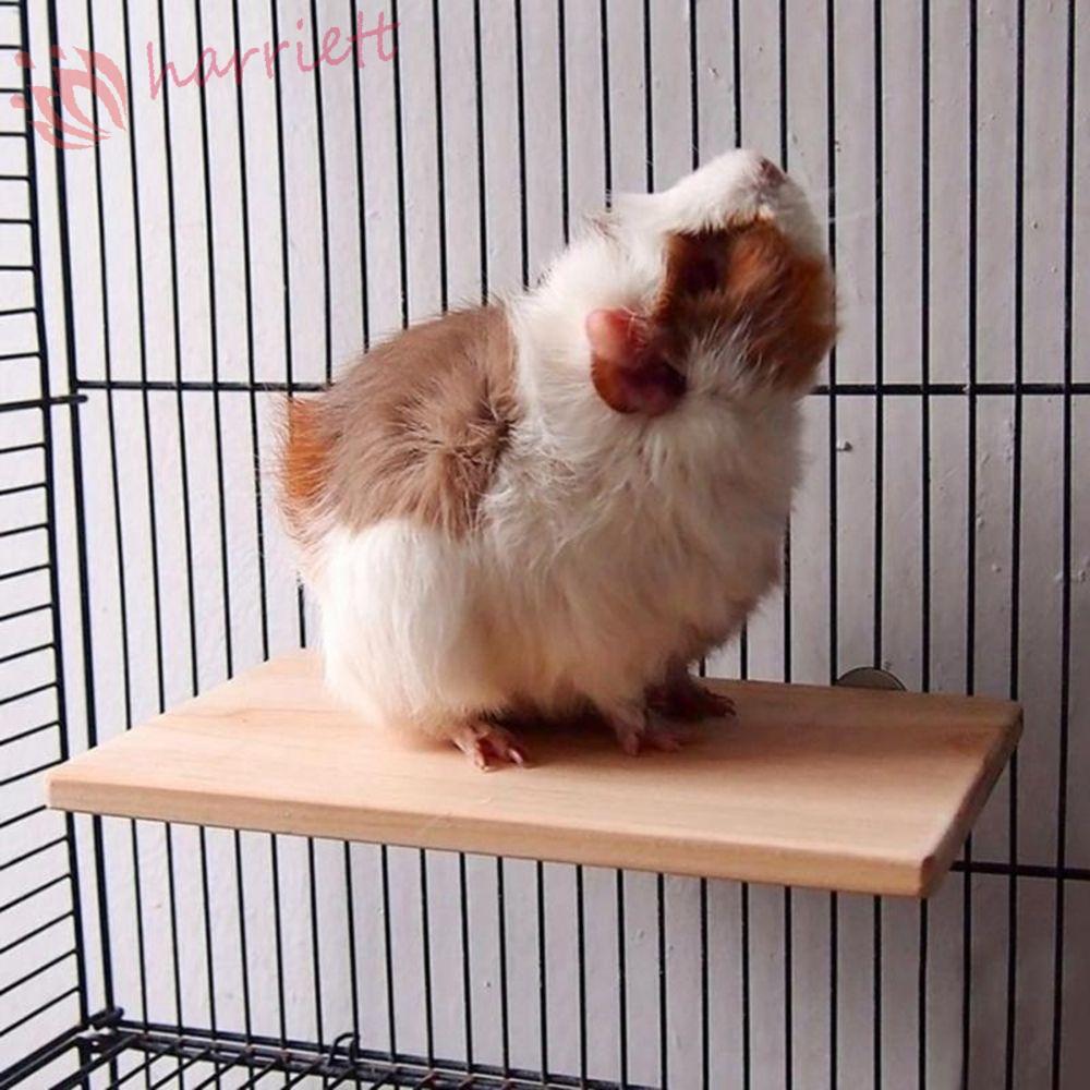 HARRIETT อุปกรณ์สําหรับสัตว์เลี้ยง Cockatiel Squirrel Springboard Chinchilla Ladder Hamster Cage Par