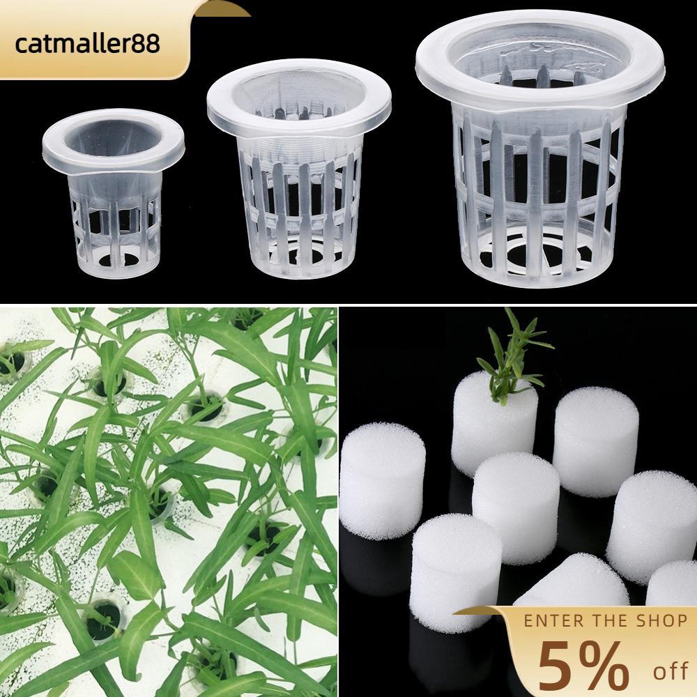 CATMALLER88 10/50 ชิ้นเนอสเซอรี่ฟองน้ําการเพาะปลูกทนทาน Aquarium Soilless Hydroponic กระถางดอกไม้