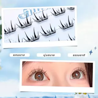 【G01 นางมาร】 Milaiขนตาปลิมกาวในตัว ตาโต หวานละมุน ธรรมชาติ ติดได้ทุกวัน