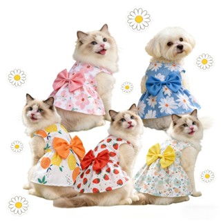 กระโปรงพิมพ์ลายสตรอเบอร์รี่ดอกเดซี่สัตว์เลี้ยง 5 สีพร้อมดีไซ…