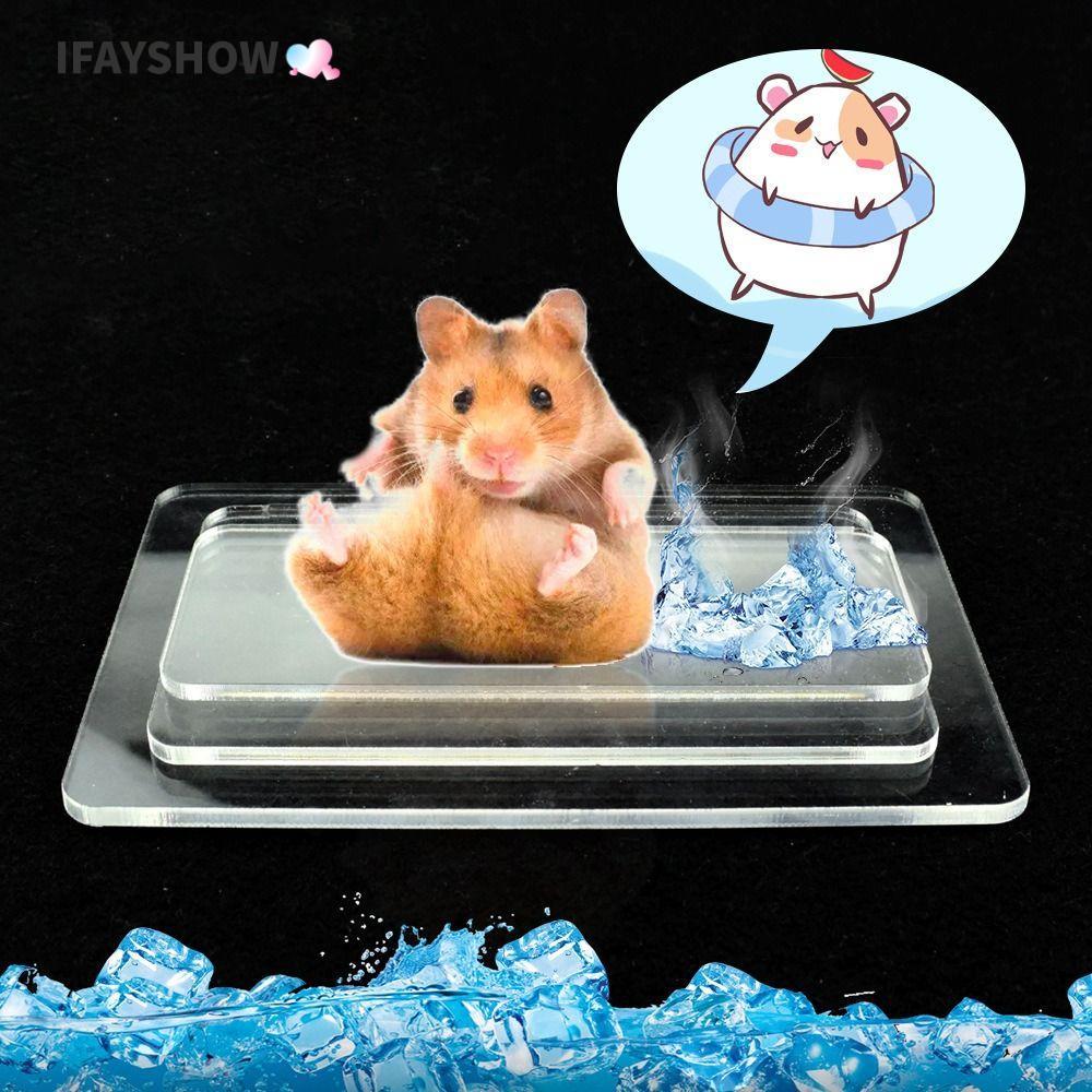 IFAYSHOW แผ่นทําความเย็นหนูแฮมสเตอร์, แผ่นทําความเย็นสําหรับสัตว์เลี้ยงเย็นอลูมิเนียม-พลาสติก, อุปกรณ์กระต่ายหนูแฮมสเตอร์สีเงินแผ่นน้ําแข็งสัตว์เลี