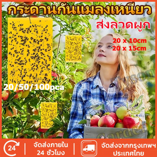 แผ่นกาวดักแมลง มีให้เลือกหลายขนาด แพ็คละ 20/50/100 แผ่น กาวเ…