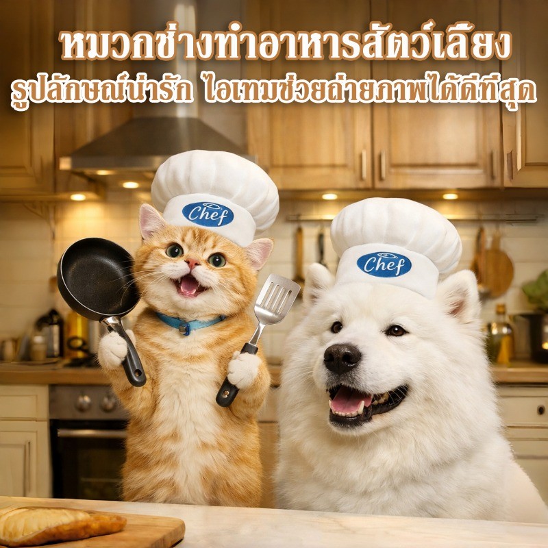 เชฟ หมวกแมว หมวกหมา แต่งตัวสุดน่ารัก สําหรับสุนัขขนาดเล็กและแมว