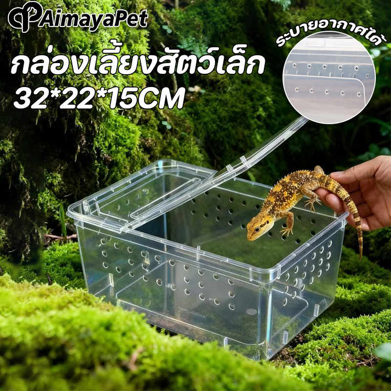 AimayaPet Reptile Box สัตว์เลื้อยคลาน กล่องแมงมุม กล่องเลี้ยงสัตว์เล็ก สำหรับเลี้ยงงูแมงมุม ตุ๊กแก