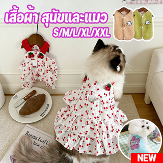🐾 สั่งเลย! เสื้อผ้าสุนัขแมว ชุดฤดูร้อน-ฤดูหนาว เสื้อกั๊กสัตว…