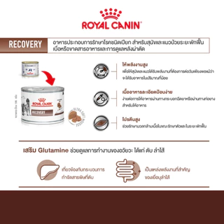 Royal Canin Recovery อาหารเปียกประกอบการรักษา สัตว์ป่วย หรือพักฟื้นหลังผ่าตัด กระป๋อง 195g