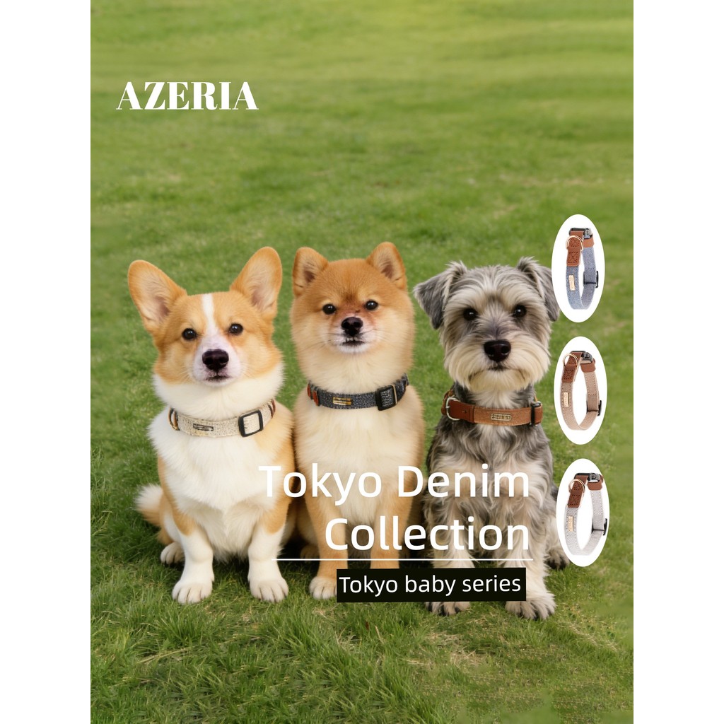ปลอกคอสุนัขใหญ่ ปลอกคอหมา AZERIA สัตว์เลี้ยงสุนัขเขียนได้ Denim COLLAR สุนัขขนาดเล็ก Anti-Lost Safet