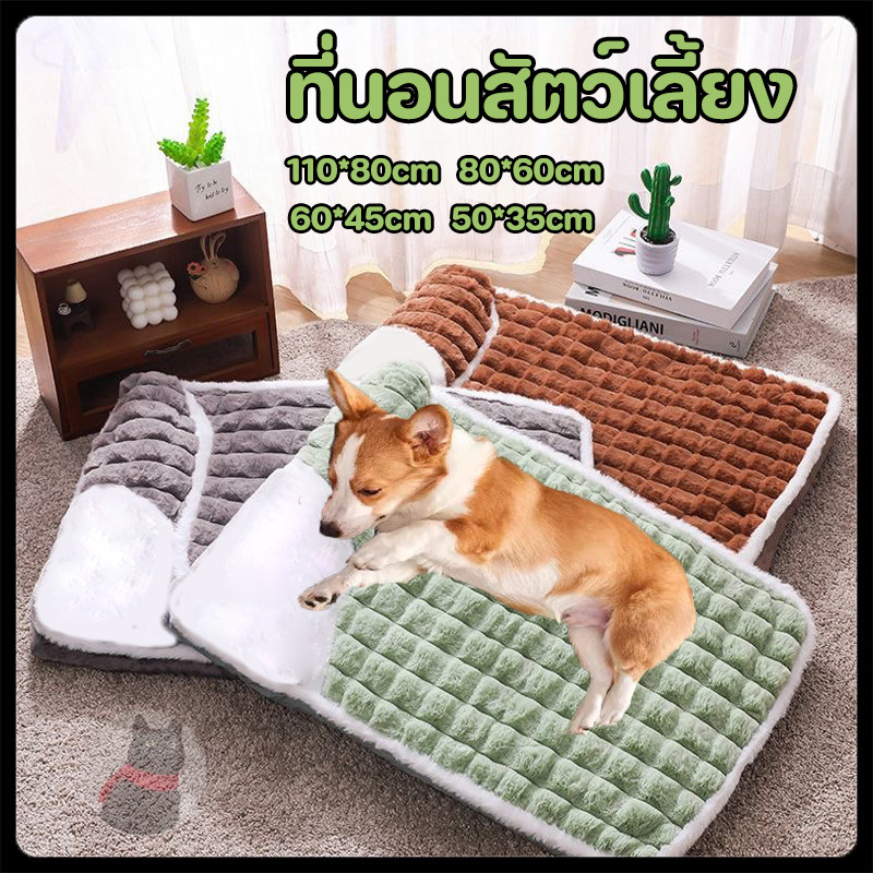 🌵 หมีกอด ที่นอนสัตว์เลี้ยง เบาะนอนสำหรับสัตว์เลี้ยง เบาะรองนั่ง ที่นอนสัตว์เลี้ยง ขนนุ่ม ที่นอนสุนัข ที่นอนแมว 🌵