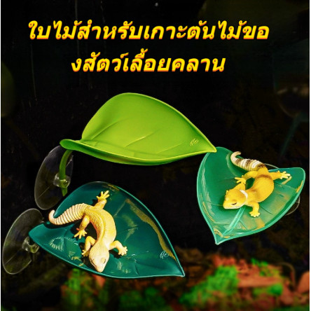 ใบไม้ถ้วยดูดเทียมการจัดสวนตู้ปลาและที่อยู่อาศัยแพลตฟอร์มอาบแดดกิ้งก่าและจิ้งจกตกแต่งปลาเบตต้า