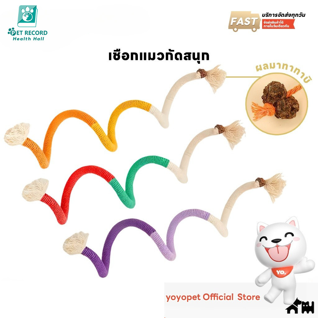 เชือกแมวมาทาทาบิ ของเล่นแมว เชือกตกแมว กัดสนุก ขัดฟันแมว เชือกฝ้ายธรรมชาติ ทําความสะอาดฟัน