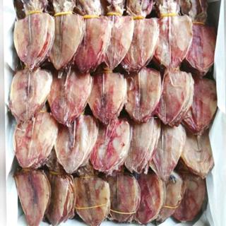 หมึกผ่า 2 นิ้ว น้ำหนัก 500 กรัม