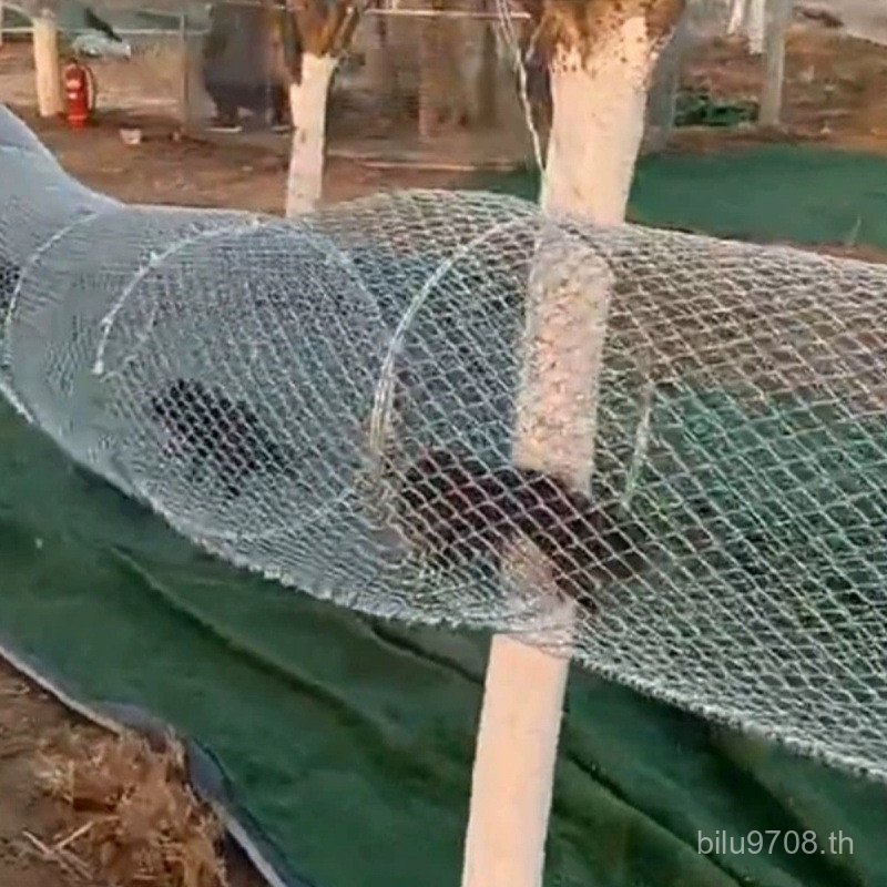 Channnel Park Zoo Running Channel Stretching Air Mesh Stainless Steel CAGE Display Tunnel Running Sq