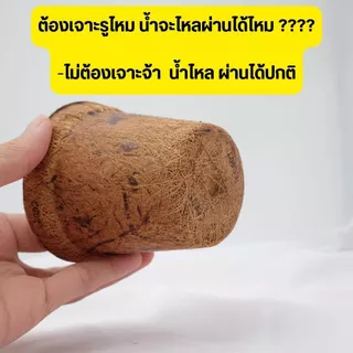 [แพ็ค 10 ชิ้น] กระถางใยมะพร้าว กระถางต้นไม้ กระถางเพาะต้นกล้า ปลูกลงดินได้เลย ย่่อยสลายได้