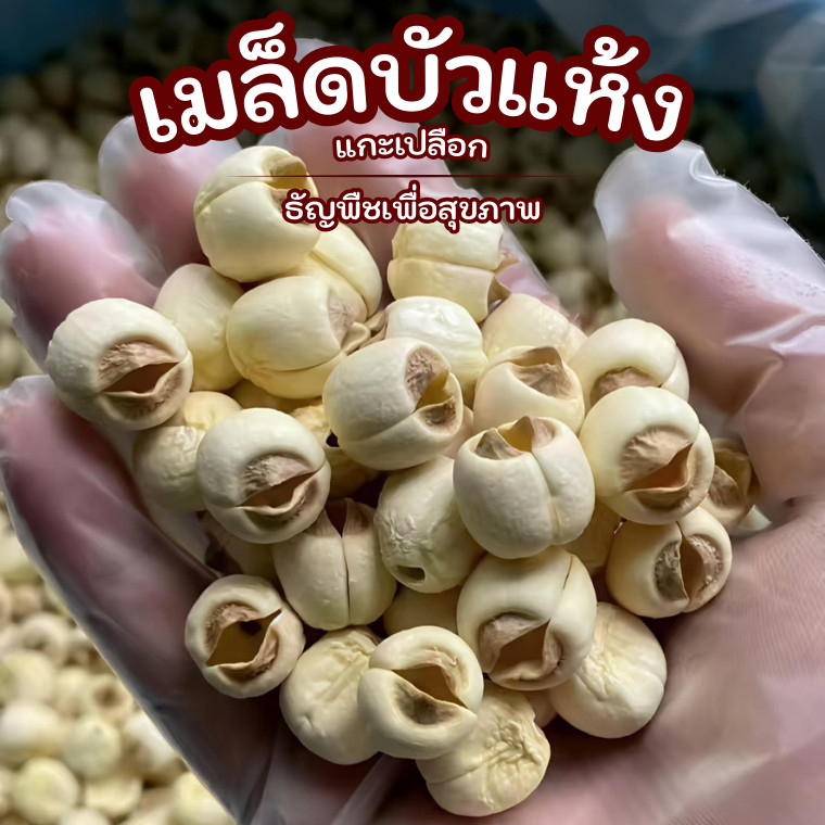 เมล็ดบัวแห้ง | เมล็ดบัวแกะเปลือก | เมล็ดบัวไม่ผ่าซีก | Superspice - รูปที่ 3