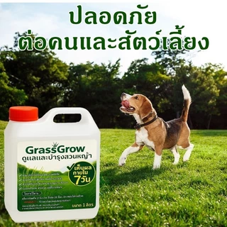 ปุ๋ยน้ำบำรุงหญ้า ให้เขียวสด แก้หญ้าเหลือง ใช้ได้กับหญ้าทุกสายพันธ์ ปลอดภัย บำรุงหญ้าไทเป ปุ๋ยบำรุงหญ้าสนาม