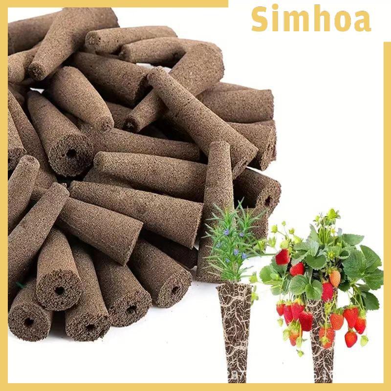 [SIMHOA] 50 ชิ้น Grow ฟองน้ําอุปกรณ์เสริมสวนปลั๊ก Rooter สําหรับตัดผักกาดหอม
