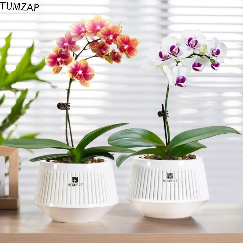TUMZAP กระถางดอกไม้เรซิน,มีรู Moisturizing Meshpot Orchid Pot, Plant Container แยกประเภทหนาผีเสื้อ O