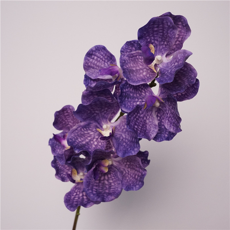 คุณภาพสูงจําลองดอกไม้รู้สึก Bandai Orchid งานแต่งงานตกแต่งบ้านดอกไม้นุ่มการจัดดอกไม้ Hu Jilan Corsage Bouquet