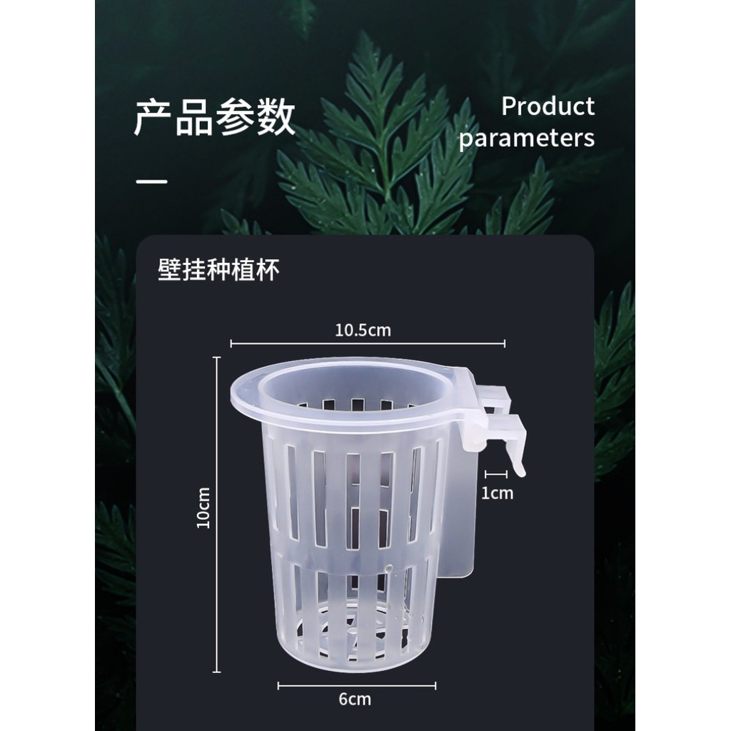 Aquarium Hydroponic Plant Hanging Basket Pothos Pennywort Aquatic Plant Sweet Potato Seedling Growin