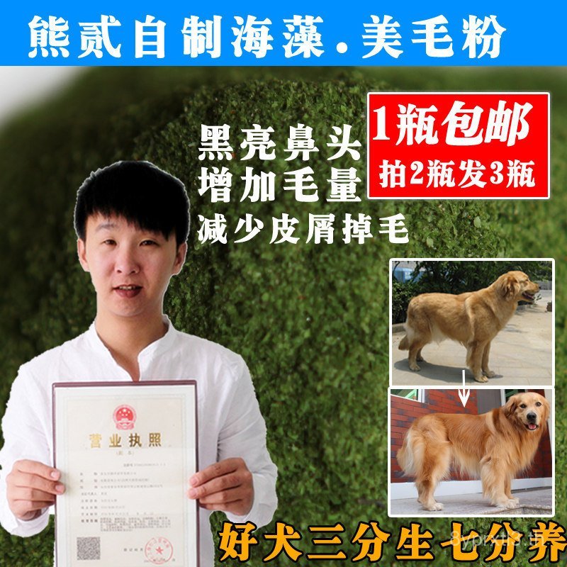 Non-Meds Lecithin American in Pet Seaweed Powder Teddy Natural Beauty Powder Dog Golden Retriever 23