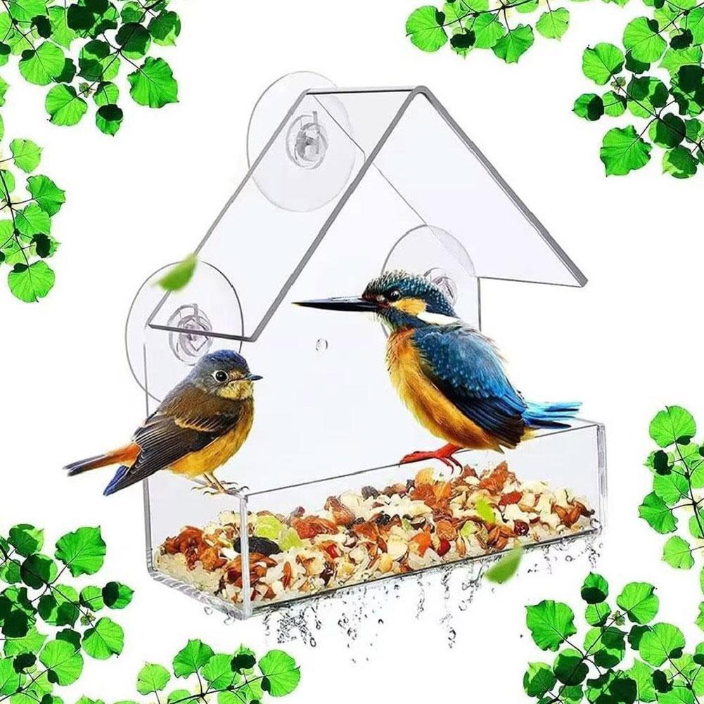 อะคริลิคใสนก Feeder ถ้วยดูด Parrot Kong Pet King อุปกรณ์กลางแจ้งแขวน P2j7