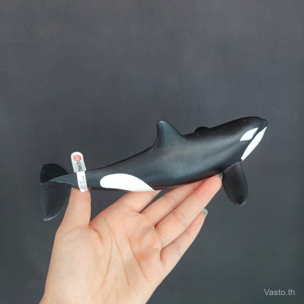 เยอรมัน Schleich Schleich Killer Whale Killer Whale Baby 14836 ปลาวาฬจําลองสัตว์ทะเลรุ่นของเล่นเด็ก