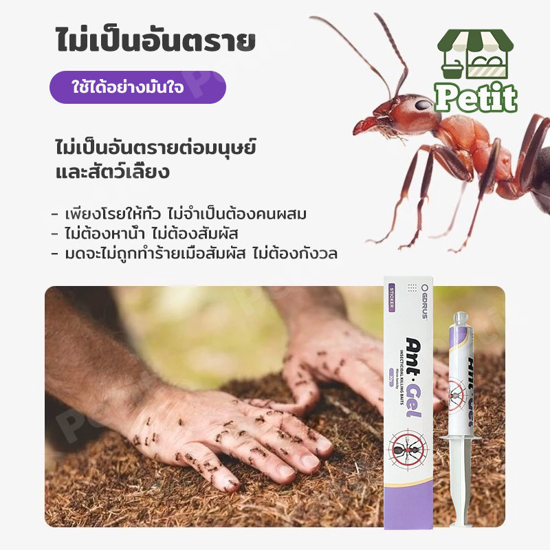 ยาฆ่ามด เจลกำจัดมด เหยื่อกำจัดมด ไล่มด ป้องกันมด เจลไล่มด เจลล่อมด สำหรับใช้ในบ้าน รูปที่ 3