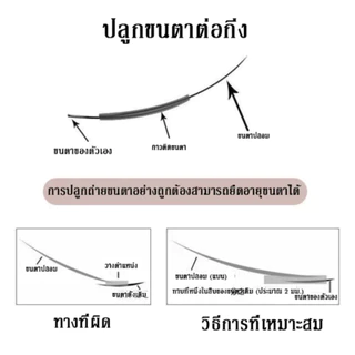 ขนตาปลอม ต่อขนตาปลอม ขนตาธรรมชาติ ขนตาต่อ 3D ขนาด 11-14mm ชุดขนตาปลอม สําหรับแต่งหน้า แบบหนา สําหรับต่อขนตา