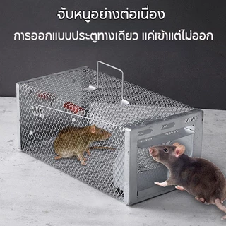 COD กรงดักหนูสปริง กรงดักหนูโครงหนา วัสดุโลหะแข็งแรง ใช้ซ้ำได้ กับดักหนูไว ติดตั้งง่าย สำหรับบ้าน โรงนา และโกดัง