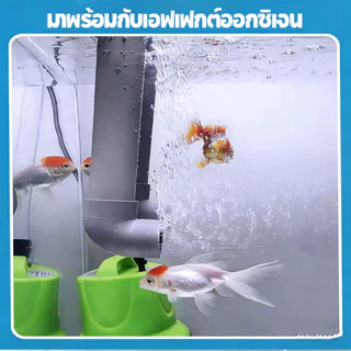 กรองตู้ปลานิเวศ กล่องกรองตู้ปลา ถังกรอง วงจรนิเวศวิทยา เพิ่มออกซิเจน เลี้ยงปลา เลี้ยงดอกไม้