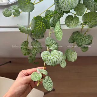 [พร้อมส่ง] Jnihouse : ใบบัวบกเลื้อย ต้นไม้ประดิษฐ์กระถางขาว (Faux Centella Trailing Plant)(SW015)