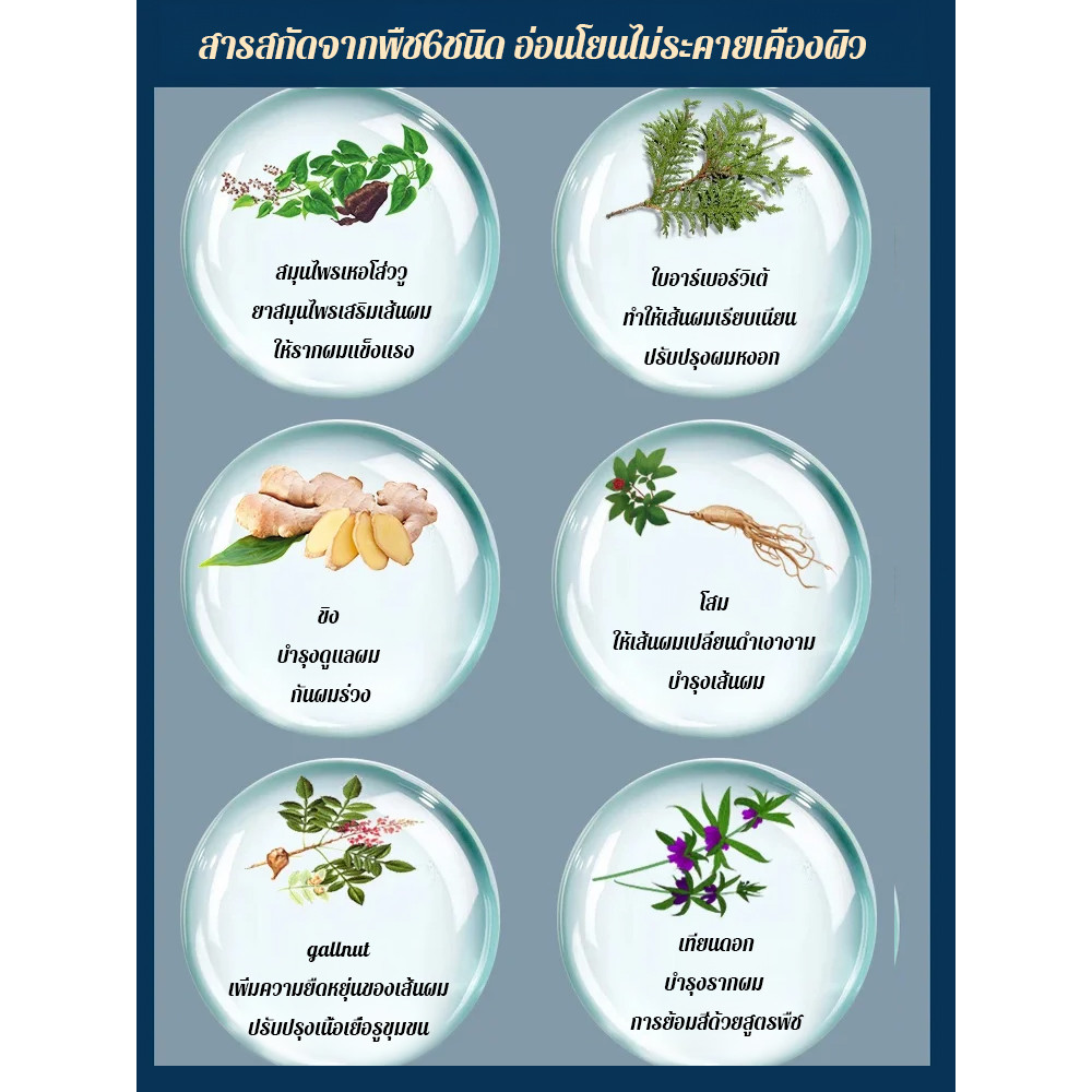 ย้อมต้นกล้า ครีมเปลี่ยนสีผม สีผม ไม่มีสีย้อมหนังศีรษะสีดําในหนึ่งล้าง Hairless Natural Botanical Hair Dyeing สีเฉพาะสีดําธรรมชาติ Shine Hair หนังศีรษะไร้ผลไม้ ราคา ถูกที่สุด ดีลบีเคเค แกลเลอรีภาพที่ 6