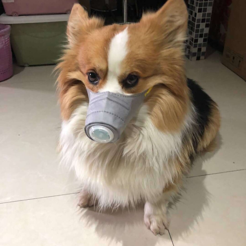 Anti-Haze สัตว์เลี้ยงสุนัข Muzzle สุนัข Outing Breathing ฝุ่น Muzzle สไตล์ใหม่ป้องกัน Anti-Haze Muzz