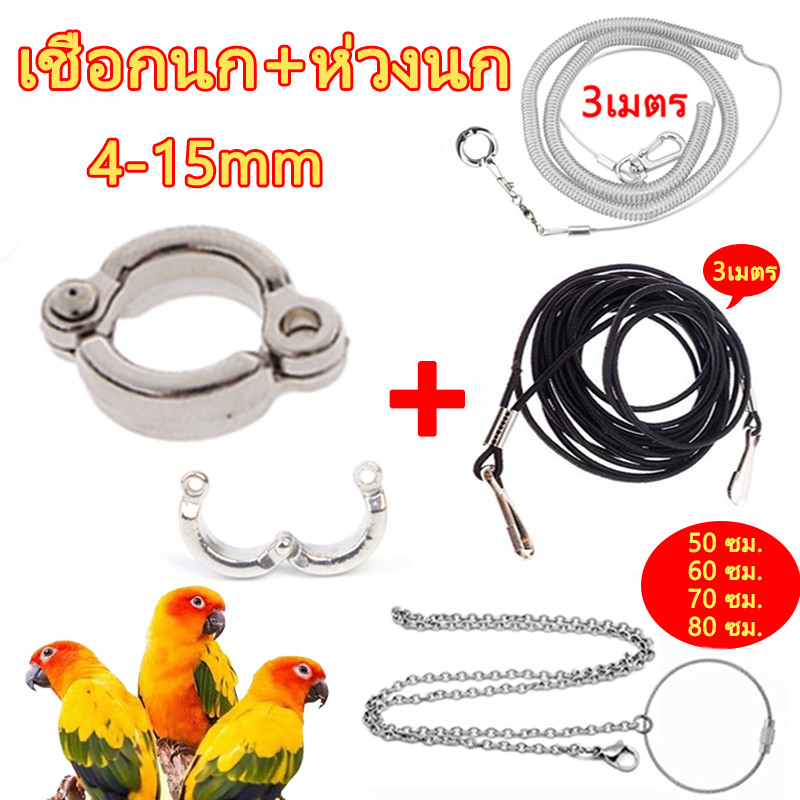 🦜โซ่คล้องขานกสแตนเลส พร้อมห่วงเปิดนก โซ่ขานก 6 ความยาว ความยาว 50-80ซม เชือกลวดสำหรับให้นกบิน ยาว 3 เมตร ป้อนกันนกหลุด