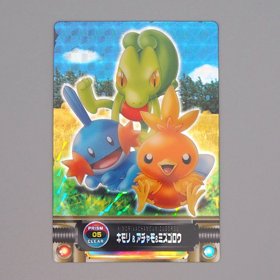 Pokemon Card Zukan Carddass Treecko Torchic Mudkip 05 Prism NM-EX Japanese n732