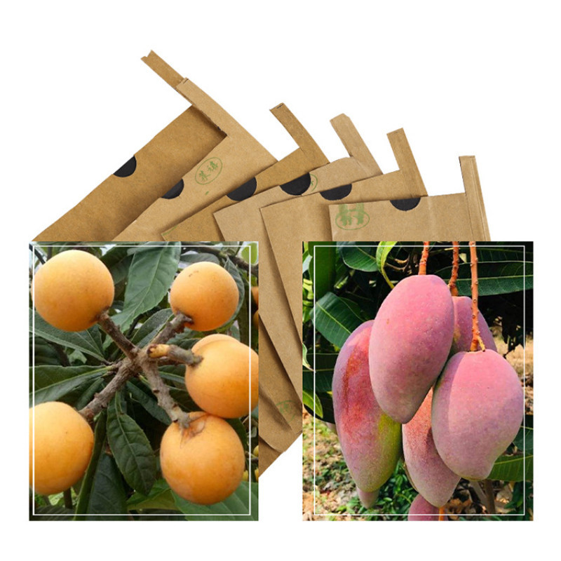 300pcs ถุงกระดาษคาร์บอน ถุงห่อผลไม้ ขนาด 20x30 ซ.ม. จำนวน 100 ใบ ถุงห่อมะม่วง ถุงคาร์บอน ทีเอบี ป้องกันแมลงวันทอง - รูปที่ 2