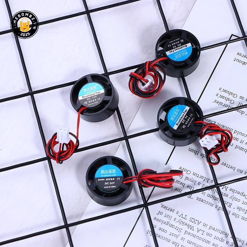 {TB & Bag } 2510 25*10MM 5V 9V 12V 24V Round 2-Pin Brushless Chipset Heatsink Mute Notebook Micro Co