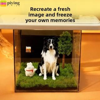 ปี่อิง สัตว์เลี้ยง โฮโลแกรมฉายบ้านดิจิตอล,สัตว์เลี้ยงฉายของท…