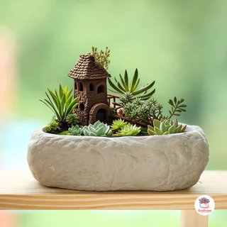 กระถางดินเผาลายก้อนหินธรรมชาติ แคคตัส กระบองเพชร ไม้อวบน้ำ Cactus&Succulent